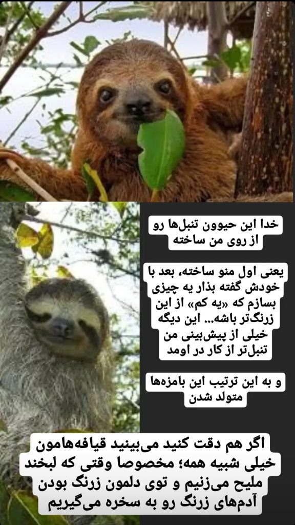 lazy-animals