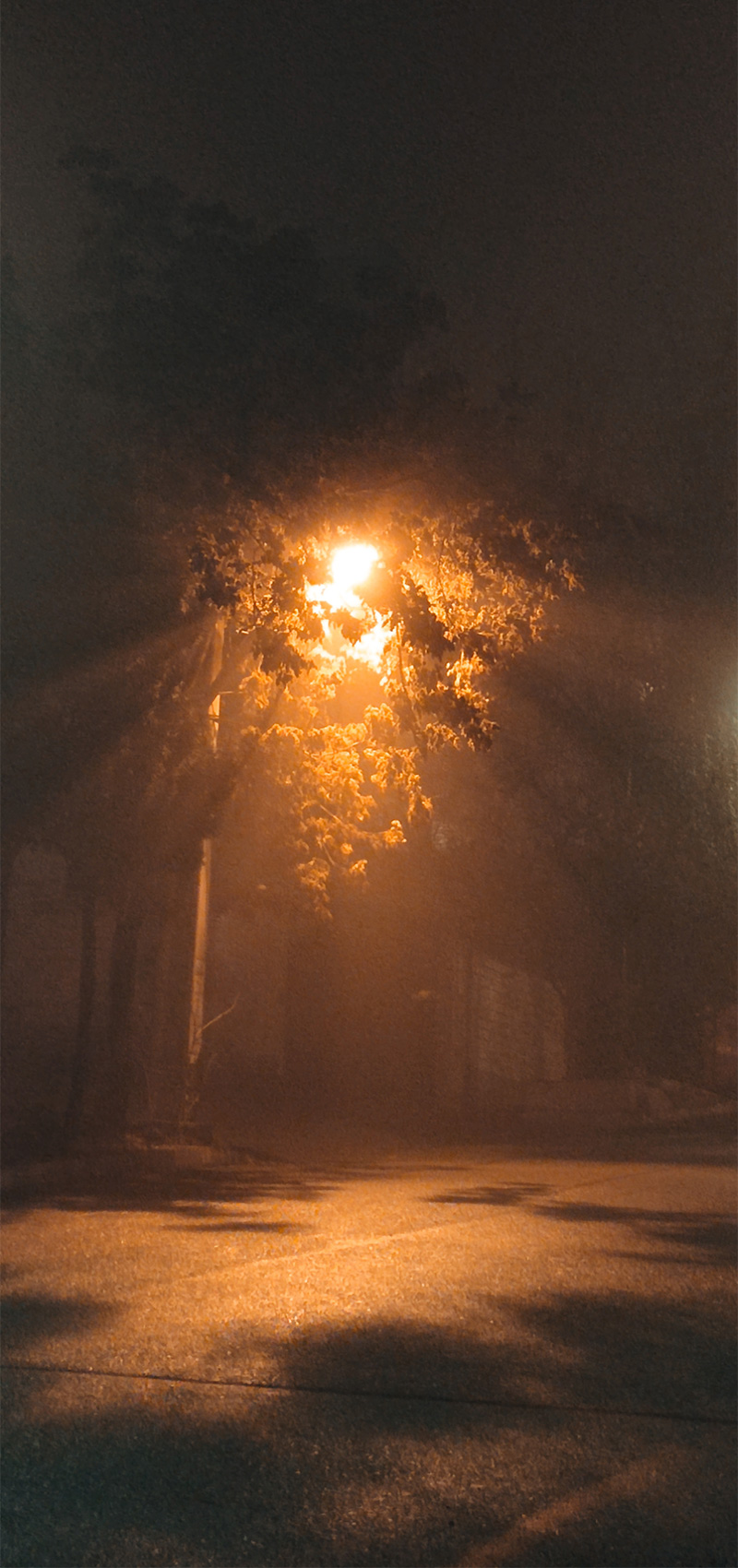Foggy-Night-1 شبی مهآلود در حوالی خانهی ما