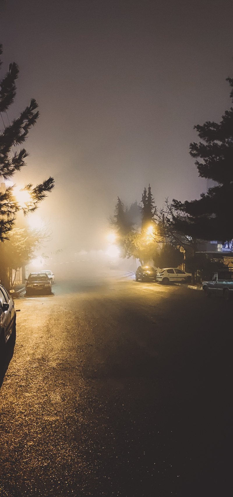 Foggy-Night-3 شبی مهآلود در حوالی خانهی ما