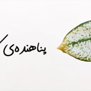 ماریا کاف | مریم کاشانکی | پناهنده‌ی کدام سرزمینی؟