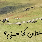 چراگاهی در طبیعت | ماریا کاف | مریم کاشانکی