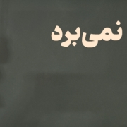 عکسنوشته کنار مجسمهی گربه | تن از یاد نمیبرد | ماریا کاف