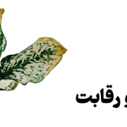 عکسنوشته کنار برگ | تقابل لذت و رقابت | ماریا کاف