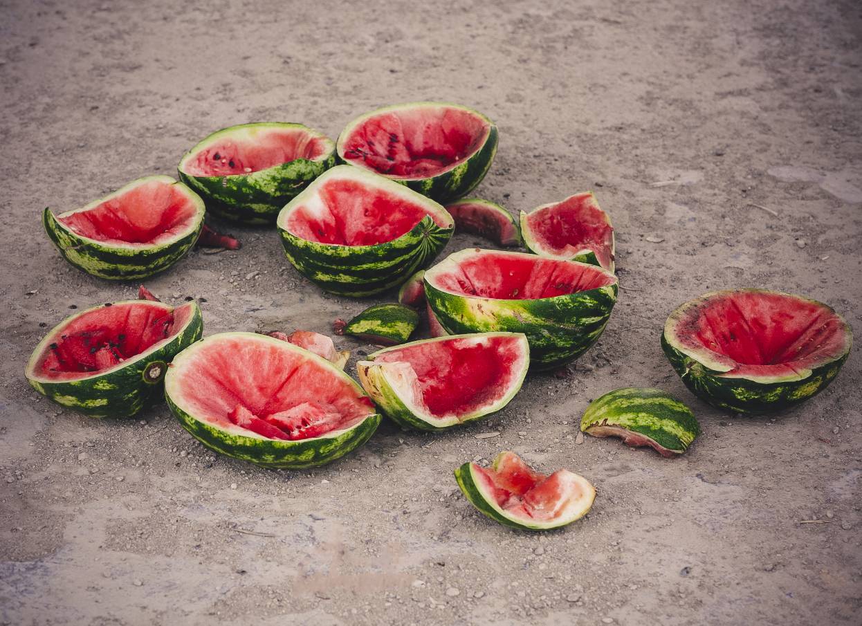 تکههای هندوانه که خورده شدهاند و تهماندههایشان روی زمین ریخته شده است.